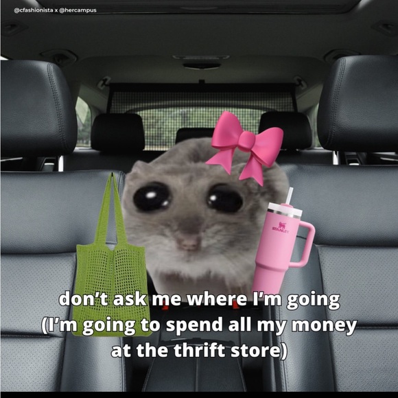 Meet your Posher, Anika - Picture 1 of 1